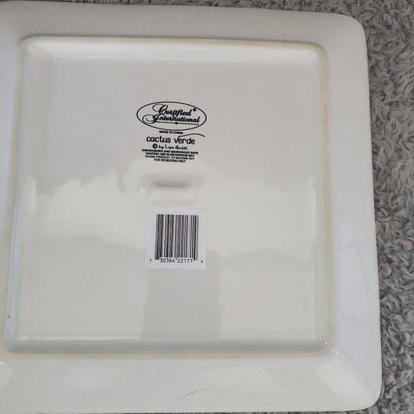 Cactus Verde Set of 4 Square 8.5" Ceramic Salad/Dessert Plates – Assorted Waterc - Picture 6 of 9